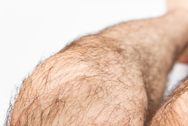 男性ホルモンと毛の濃さの関係