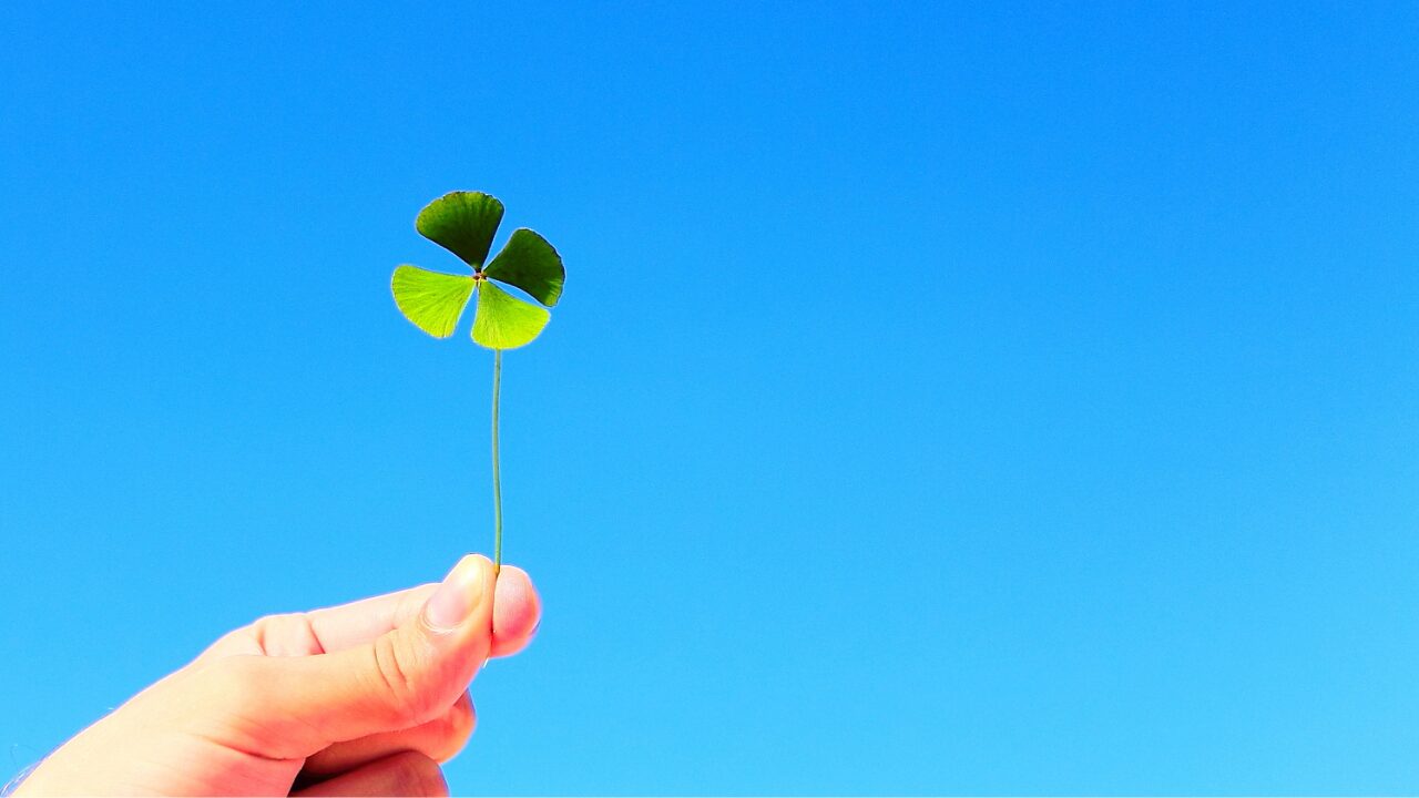 まとめ｜スカルプドライヤーは本当に効果がある？口コミと体験談から見えた結論