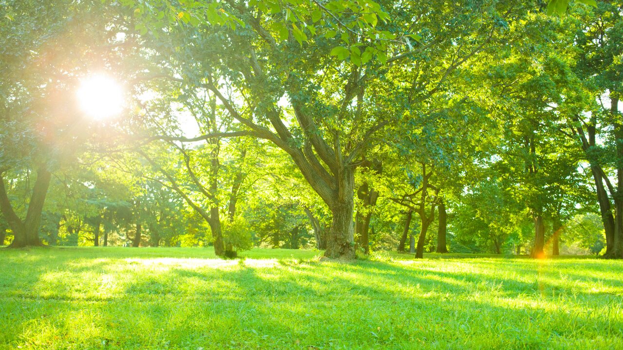 美白ケアを長持ちさせるための生活習慣とは？