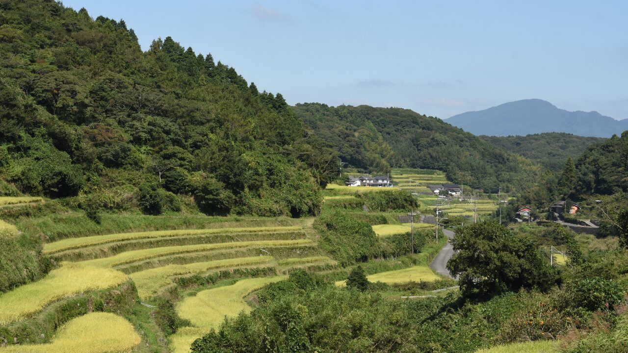 メンズ向けにおすすめの返礼品カテゴリ