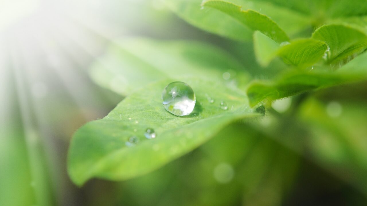 第3章：実際に成功者がやっている「朝習慣」事例紹介