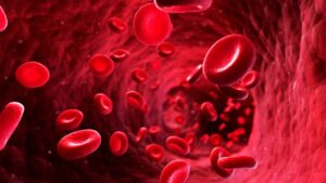 血液を浄化する食べ物とは？毎日食べたい簡単レシピと健康の秘訣！