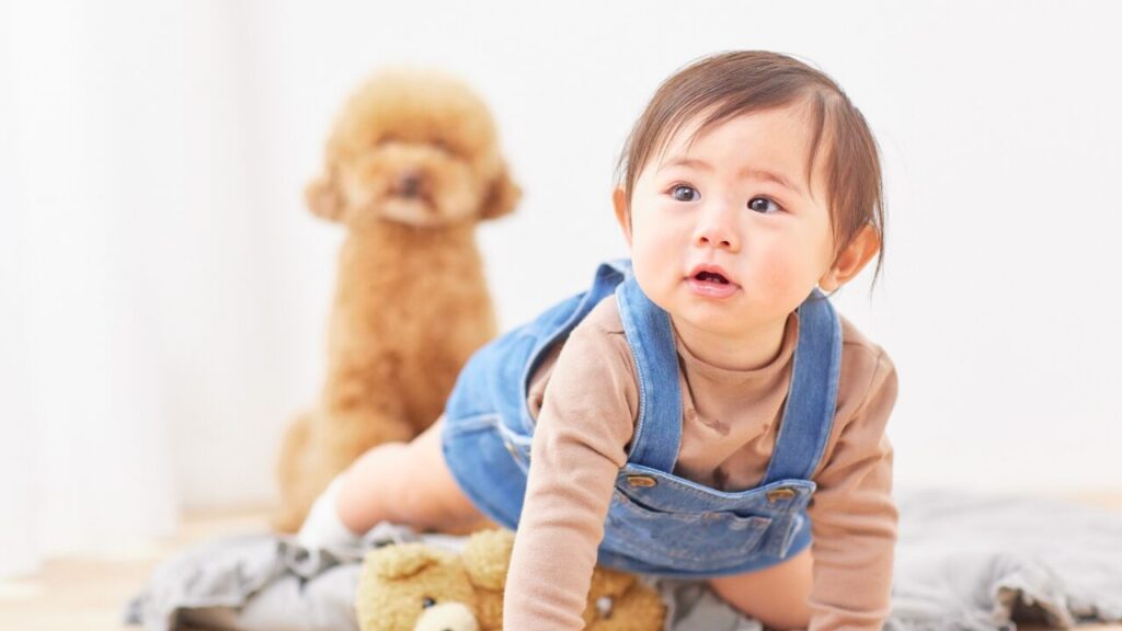 赤ちゃん語・ベビたん語とは？かわいすぎる言葉たちの意味と由来を徹底解説♡