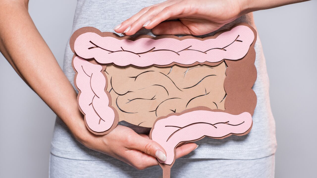 食物繊維の腸活効果とは？