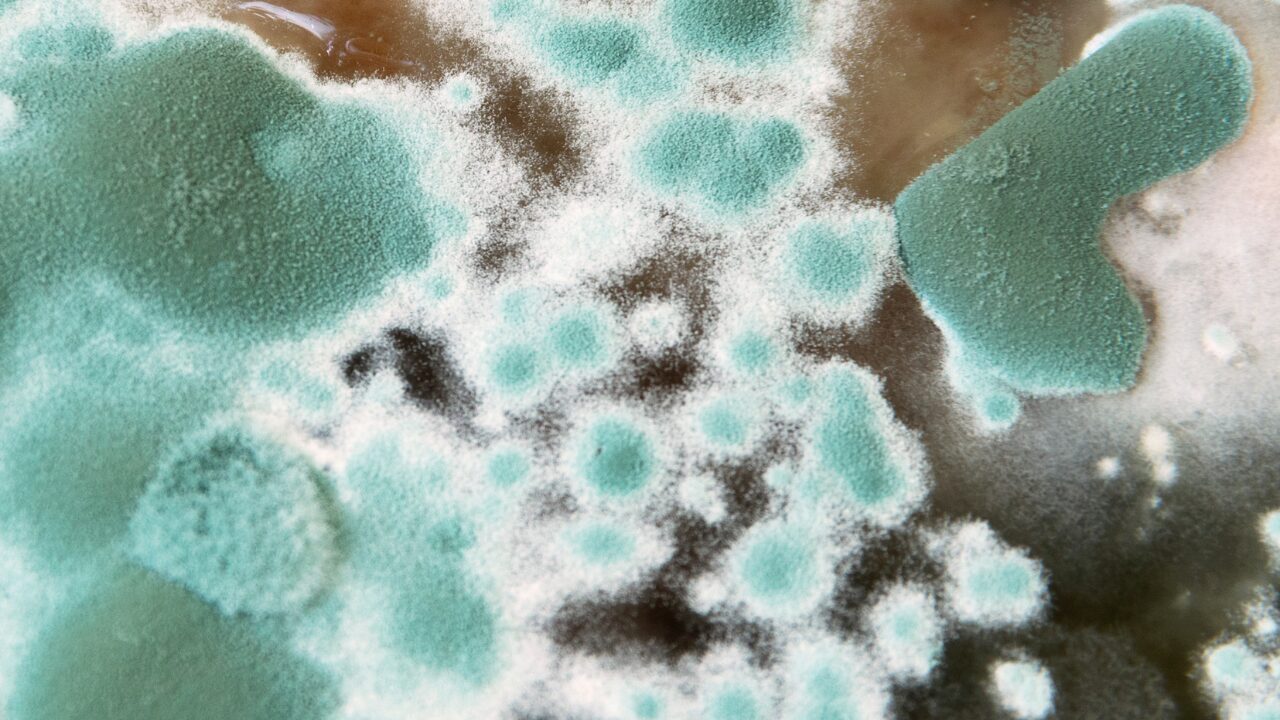 まとめ｜湿気・梅雨に負けない家づくりで快適な暮らしを手に入れよう