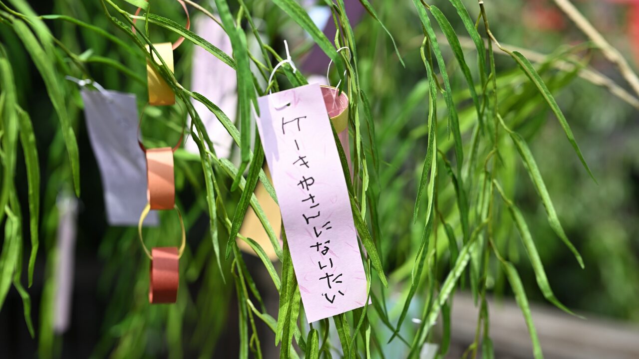 ✅ 短冊に願いを書くのはなぜ？意味や由来を解説