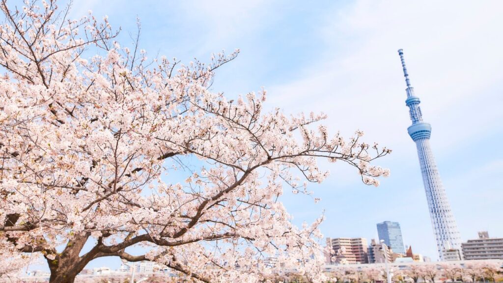 春の季語｜芽吹きと希望を感じる言葉たち