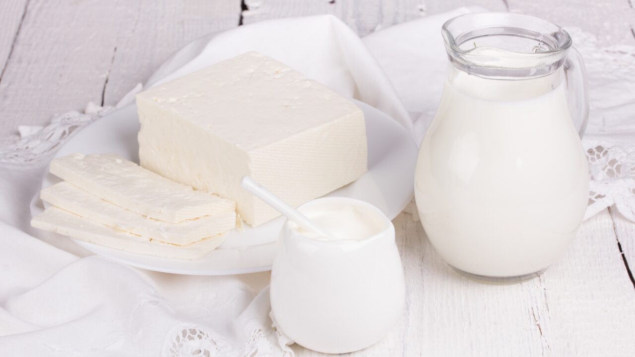 ビフィズス菌が多い食品一覧｜毎日の食事で摂ろう