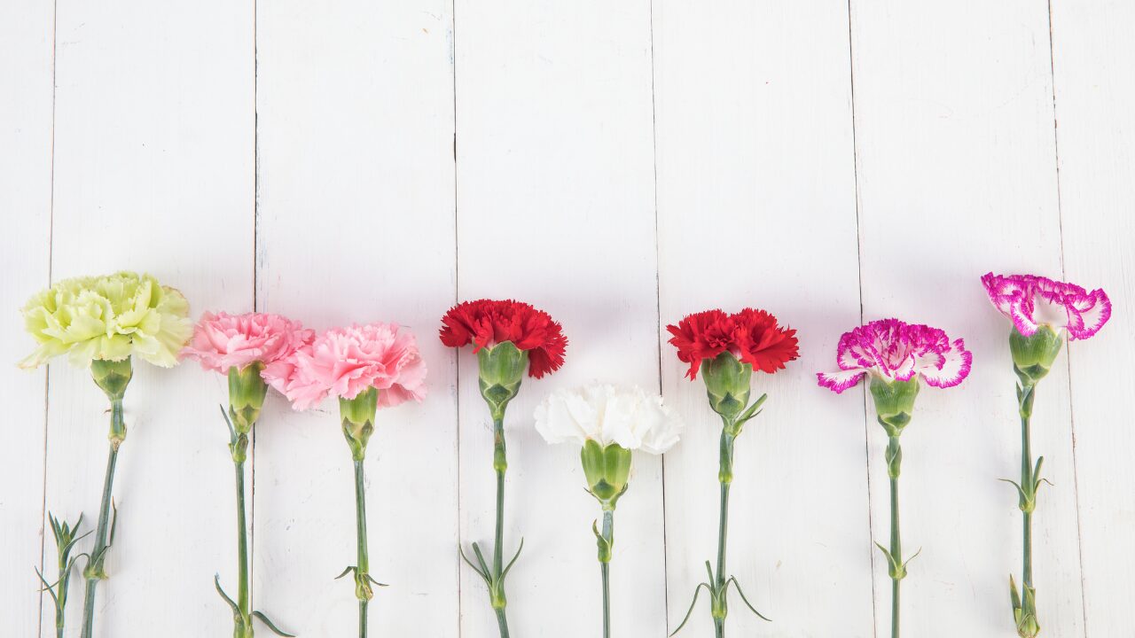 母の日に人気の花とその意味