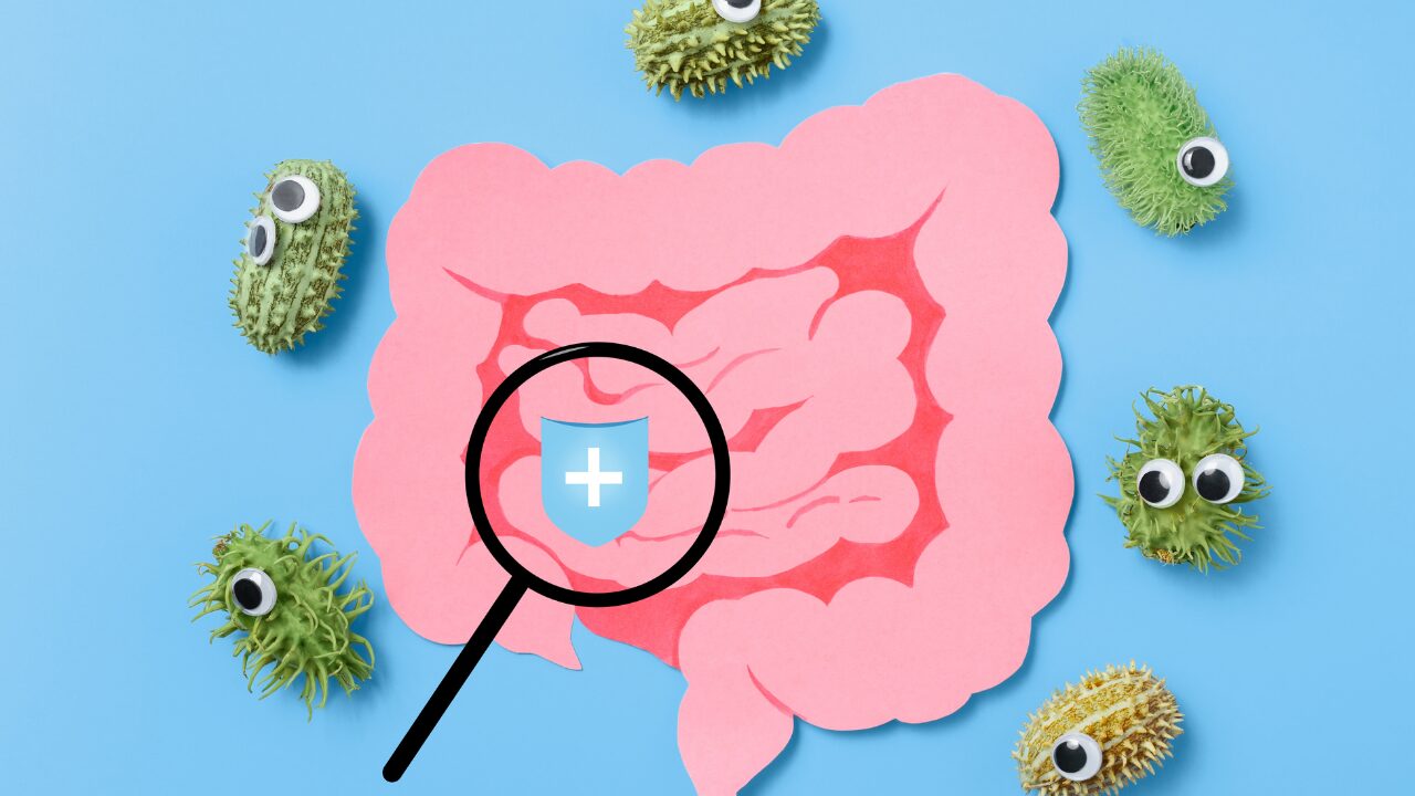 🧪乳酸菌とは？腸内フローラに効く理由
