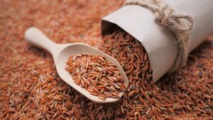 GABAの驚くべき効果とは？睡眠改善・ストレス軽減に効く食品＆サプリ完全ガイド