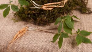 脂肪分解・免疫強化に効く？サポニンの効果とは｜含有食品＆おすすめサプリも紹介