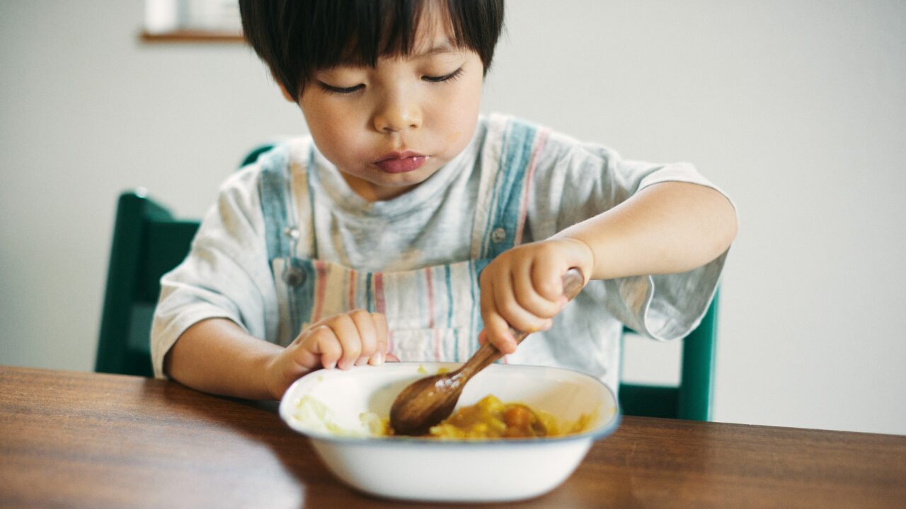 まとめ｜“翌日カレー”は科学と経験が裏付ける美味しさ