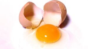 卵は何日もつ？賞味期限と正しい保存方法のポイントを徹底解説！