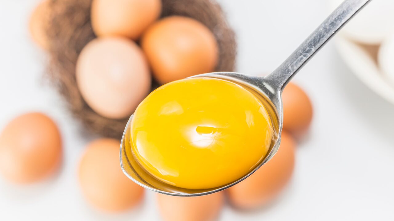 この卵、食べられる？見分け方とチェック方法