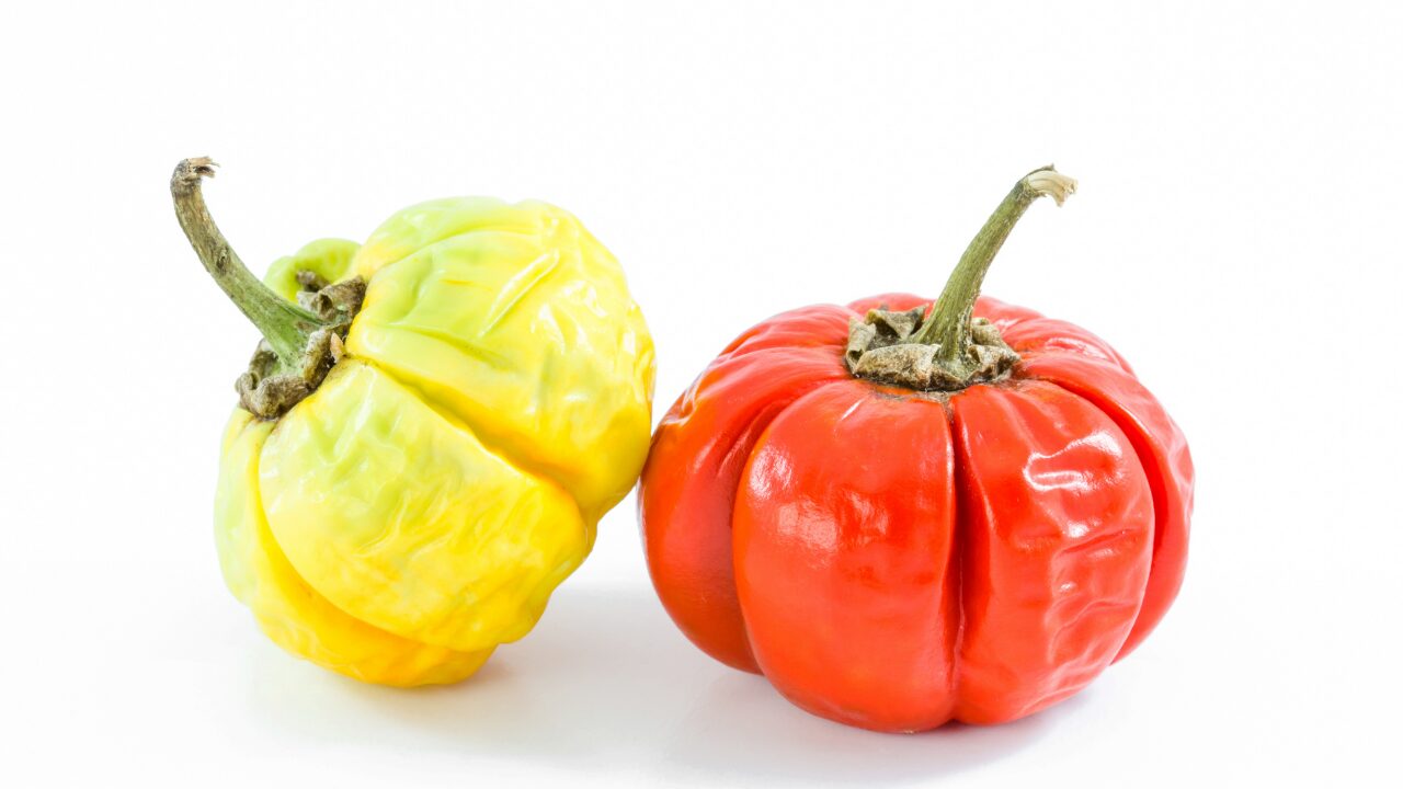 ✅しなびた野菜のリメイク＆再生アイデア