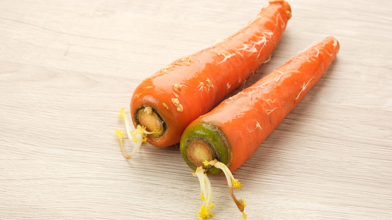 ✅まとめ｜しなびた野菜の見極めが大事！