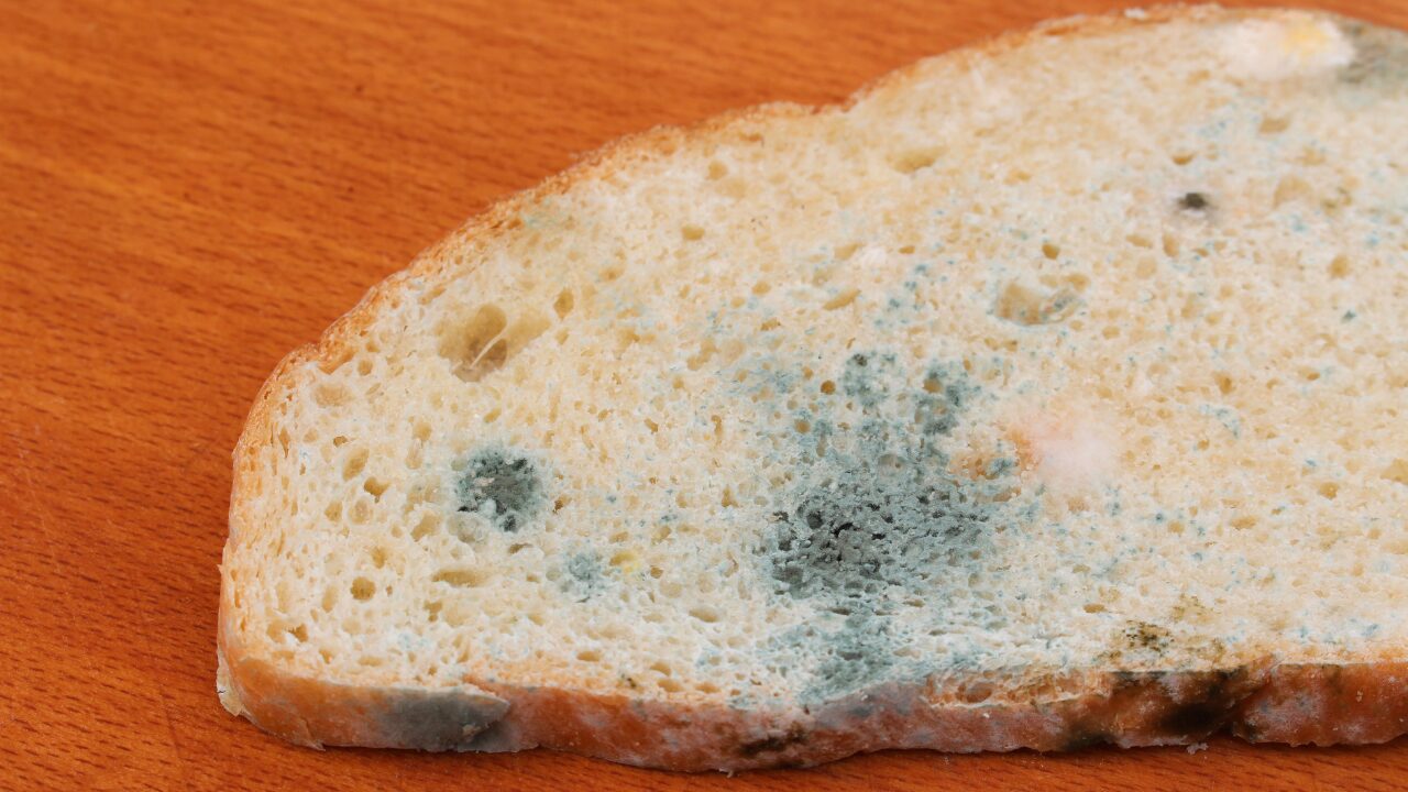 パンにカビが生える原因とは？