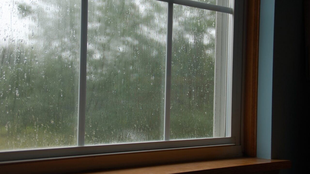 雨の日でも虫の侵入を防ぐ6つのコツ
