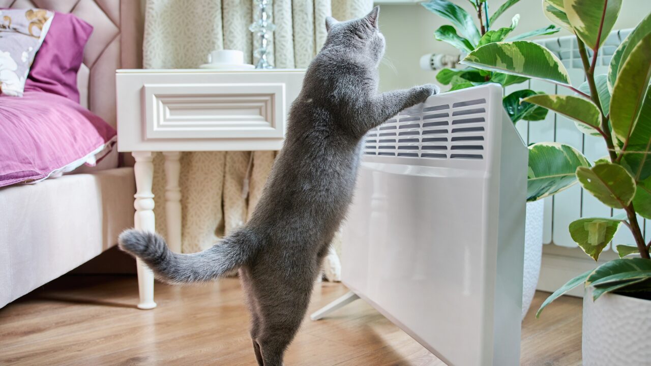 🌿今日からできる！部屋の乾燥を防ぐ対策法7選