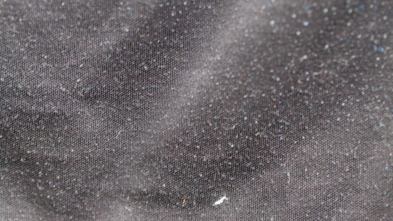 外出先でホコリに気づいたら？応急処置テク