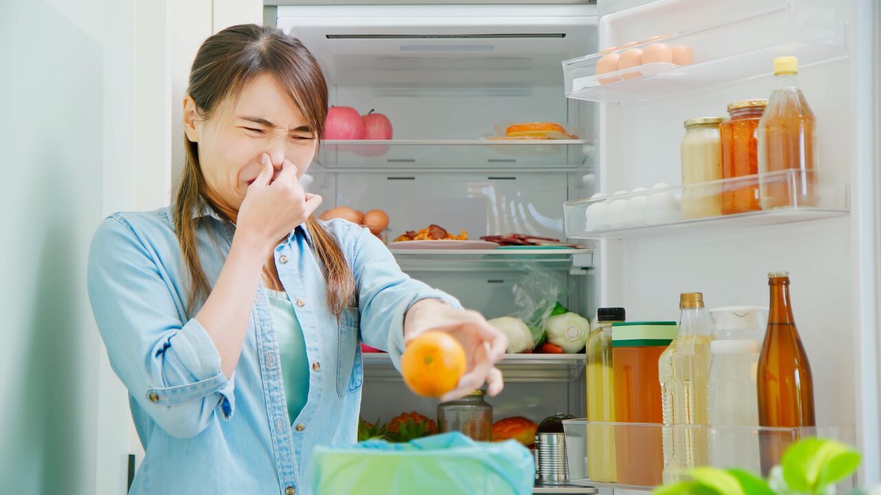 冷蔵庫の奥にあった期限切れ食品、食べても大丈夫？安全ラインと見分け方を解説！