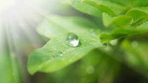 無理に笑ってる自分が嫌い…その理由と自然な笑顔を取り戻す方法