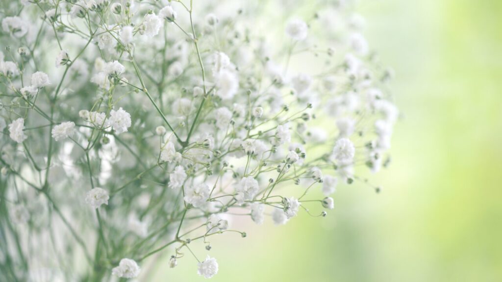 無気力すぎてやばい…そんなときに「今すぐできること」リスト