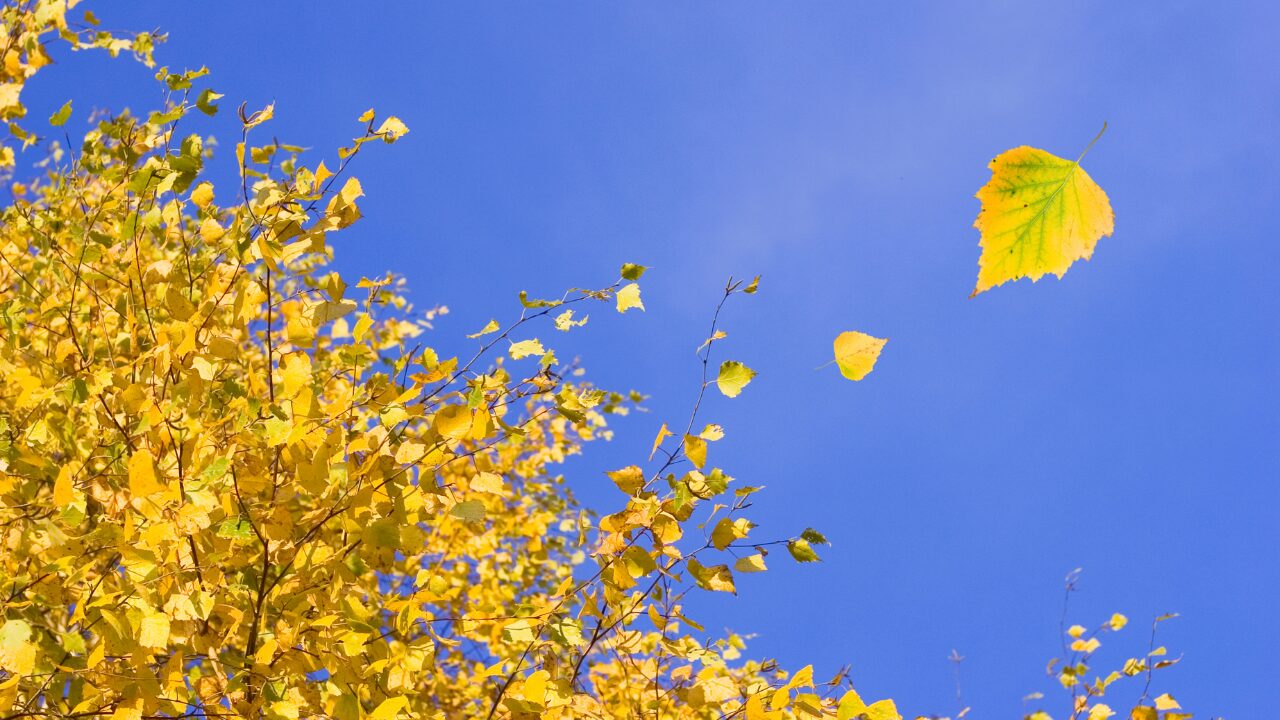 まとめ｜心の締めつけ感は“無視しない”ことが大切