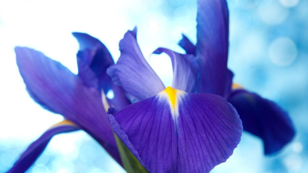 なんとなくしんどい…原因不明の“心の疲れ”をやさしく軽くする方法7選