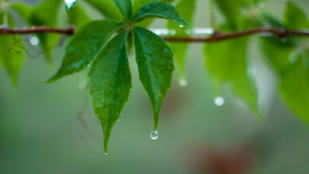 周りの「頑張ってる人」と比べてしまうときの対処法