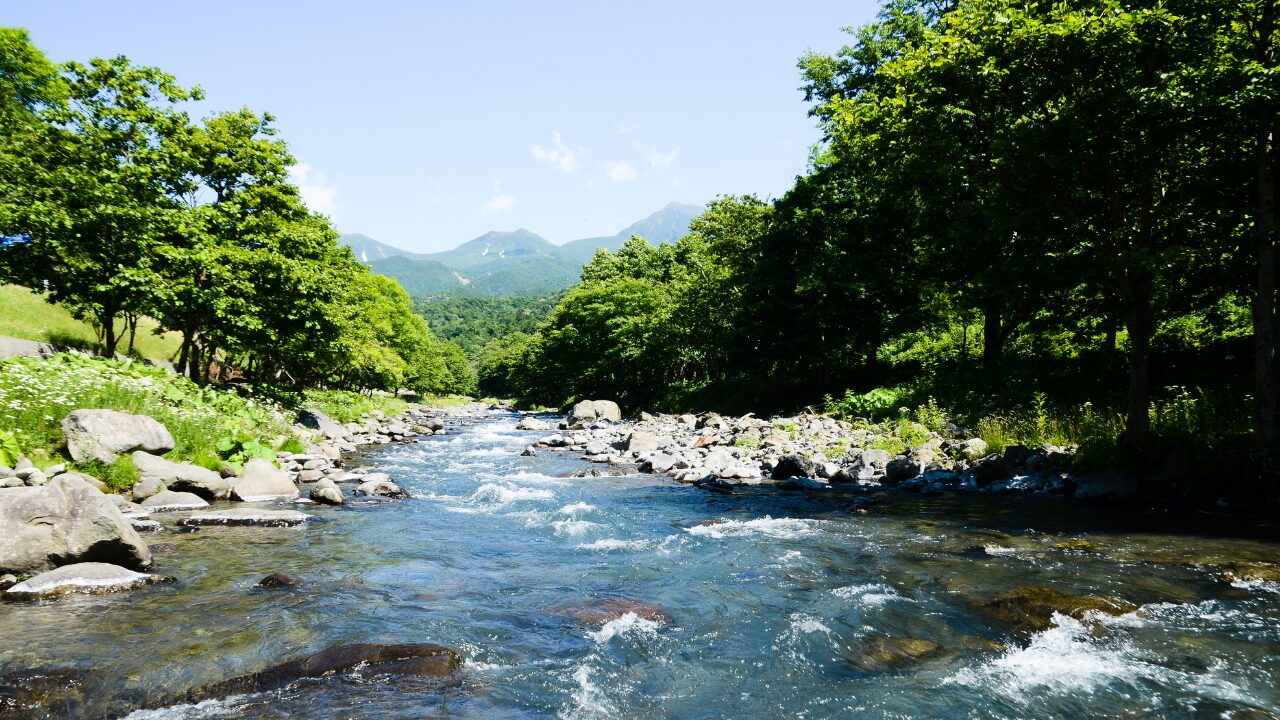 まとめ｜夏時間を味方につければ、毎日がもっと快適に