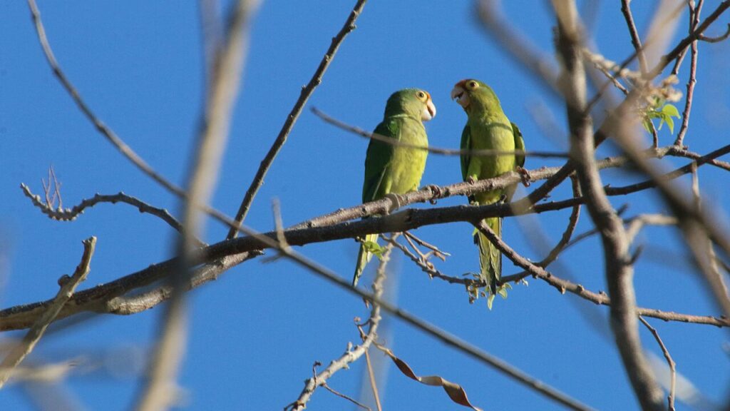話しかけられるのが怖いのはなぜ？その心理と向き合い方・克服法を徹底解説