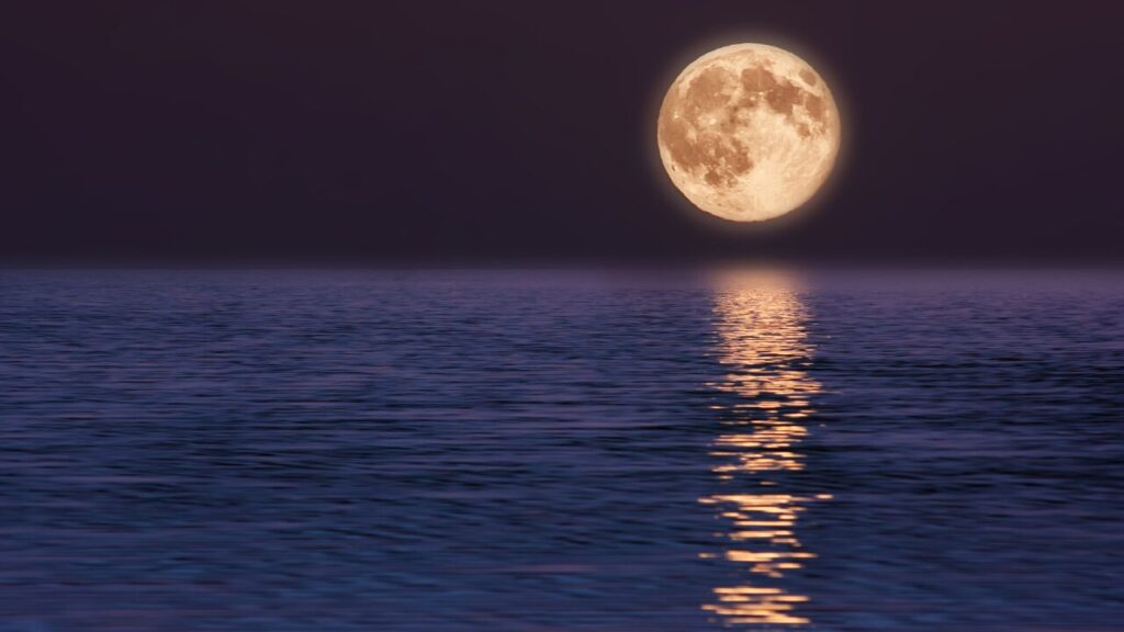 涙が止まらない夜に読んでほしい言葉｜心が少しラクになる優しいメッセージ集