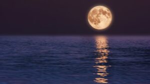 涙が止まらない夜に読んでほしい言葉｜心が少しラクになる優しいメッセージ集