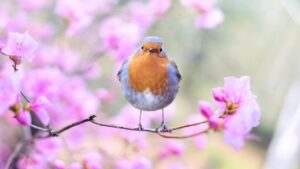 春らしい日本語・美しい言葉15選｜季節を感じる優雅なフレーズ集