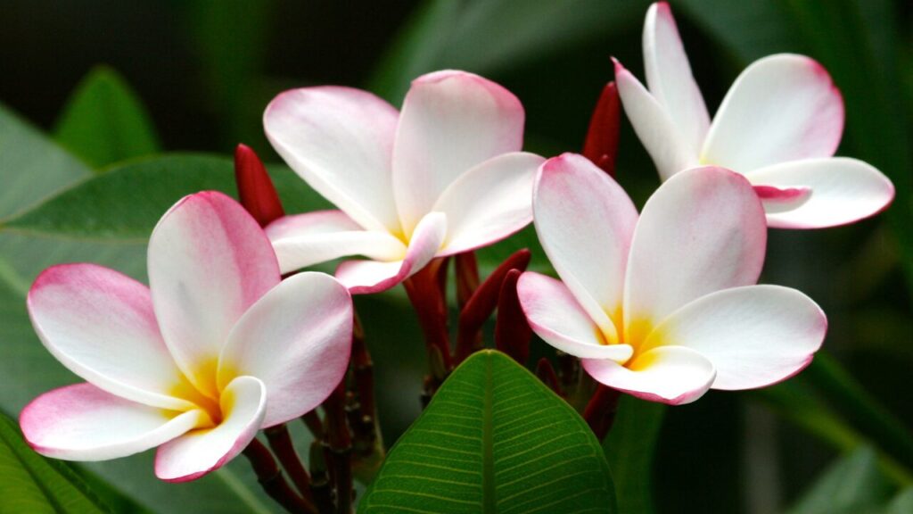 休日がしんどいと感じる人の特徴と対処法｜“ちゃんと休めない”あなたへ