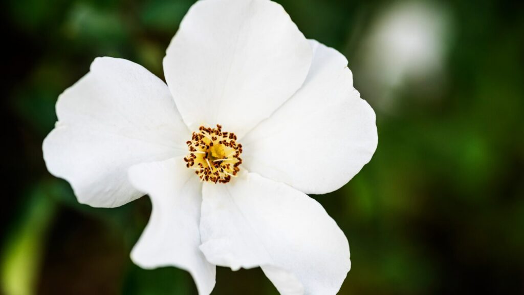 「心が疲れているサイン」10選｜見逃さず、やさしくケアしよう