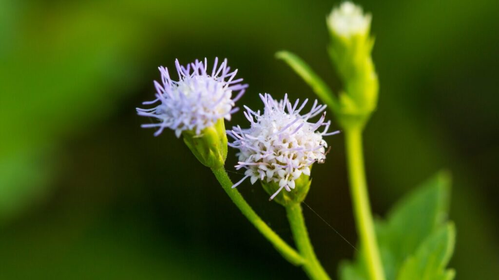 周りに合わせすぎて疲れた…そんな自分をリセットする7つの方法｜心が軽くなるコツとは？