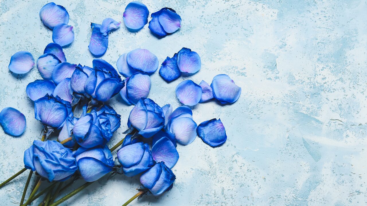「なんでこんな自分…」と責めてしまうあなたへ｜自分を責める癖をやめる7つの方法