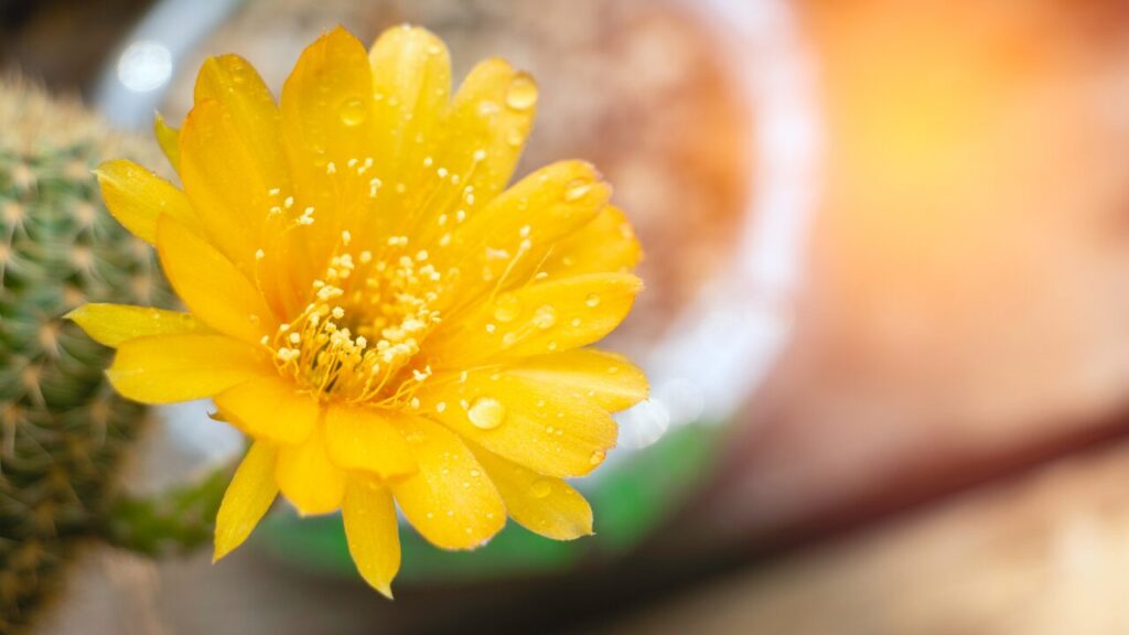 人に心を開けないのはなぜ？安心して話せる自分になるためのヒント