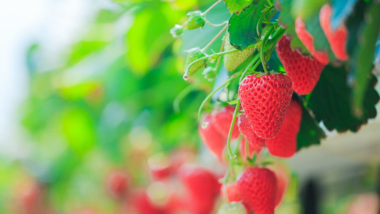 何をしても満たされない…その“心の穴”に気づいたあなたへ｜原因とケアのヒント