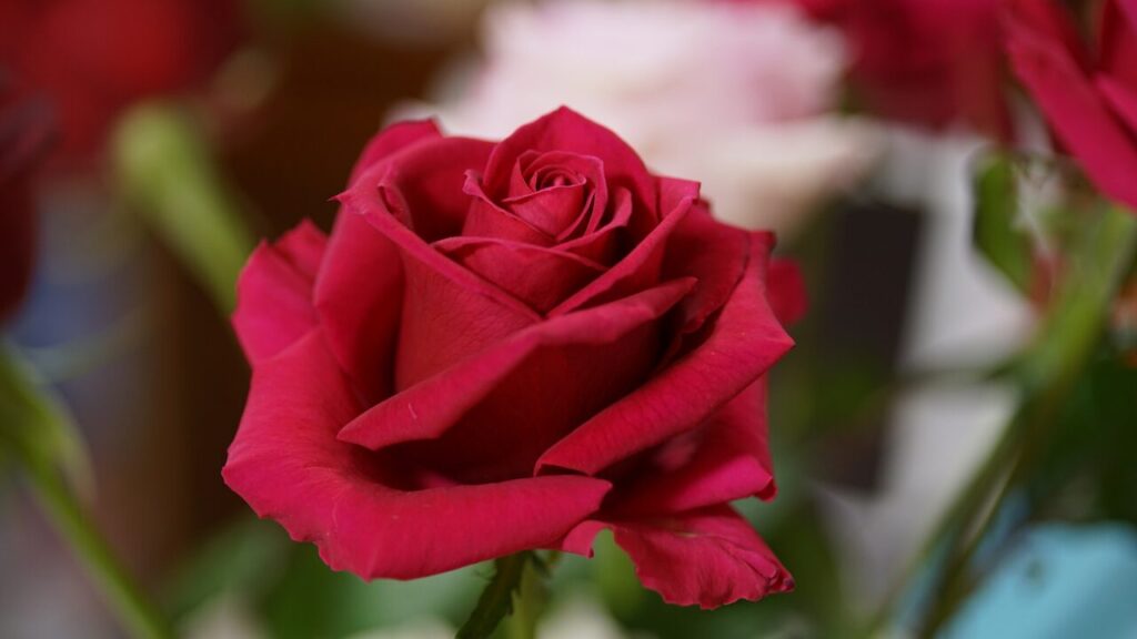 理由もなく涙が出るときは心のSOS｜気づいてほしい心のサインと対処法