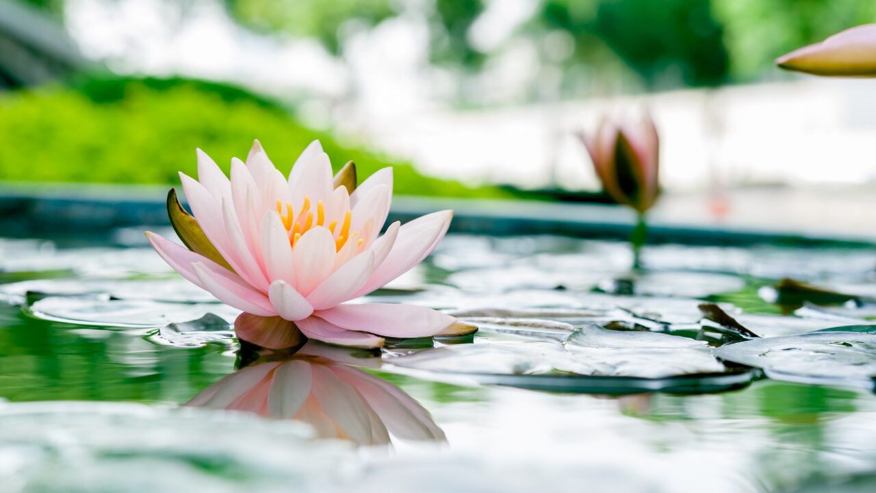 心の疲れに気づいたら、生活全体も少し見直してみよう