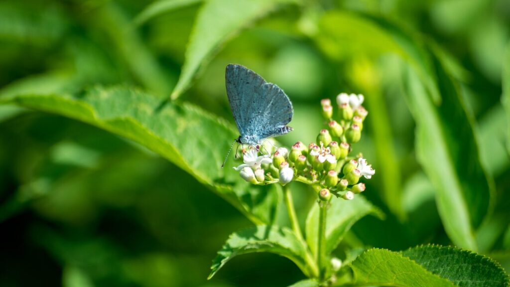 誰にも会いたくない日があるのは普通？その心理とやさしい対処法まとめ