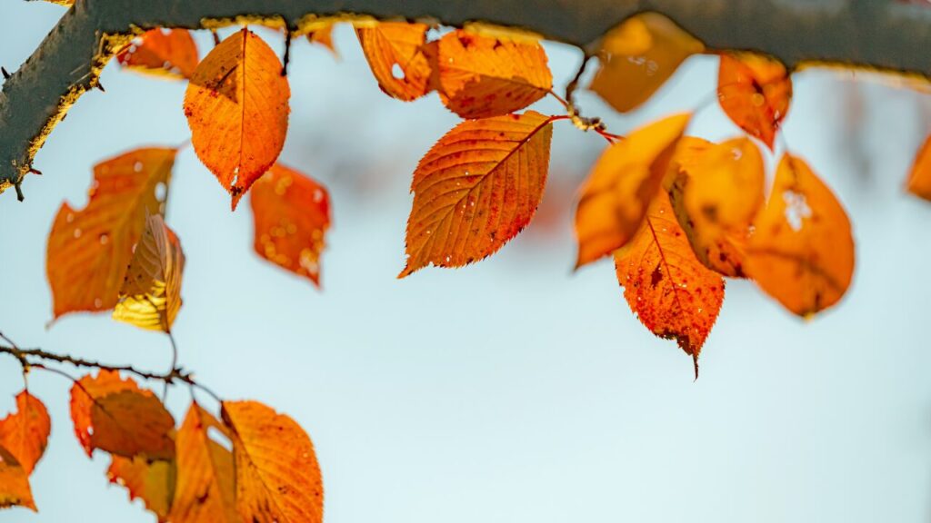 気づいたら笑えなくなっていたあなたへ｜心の疲れに気づく優しいサインと対処法