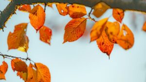 気づいたら笑えなくなっていたあなたへ｜心の疲れに気づく優しいサインと対処法