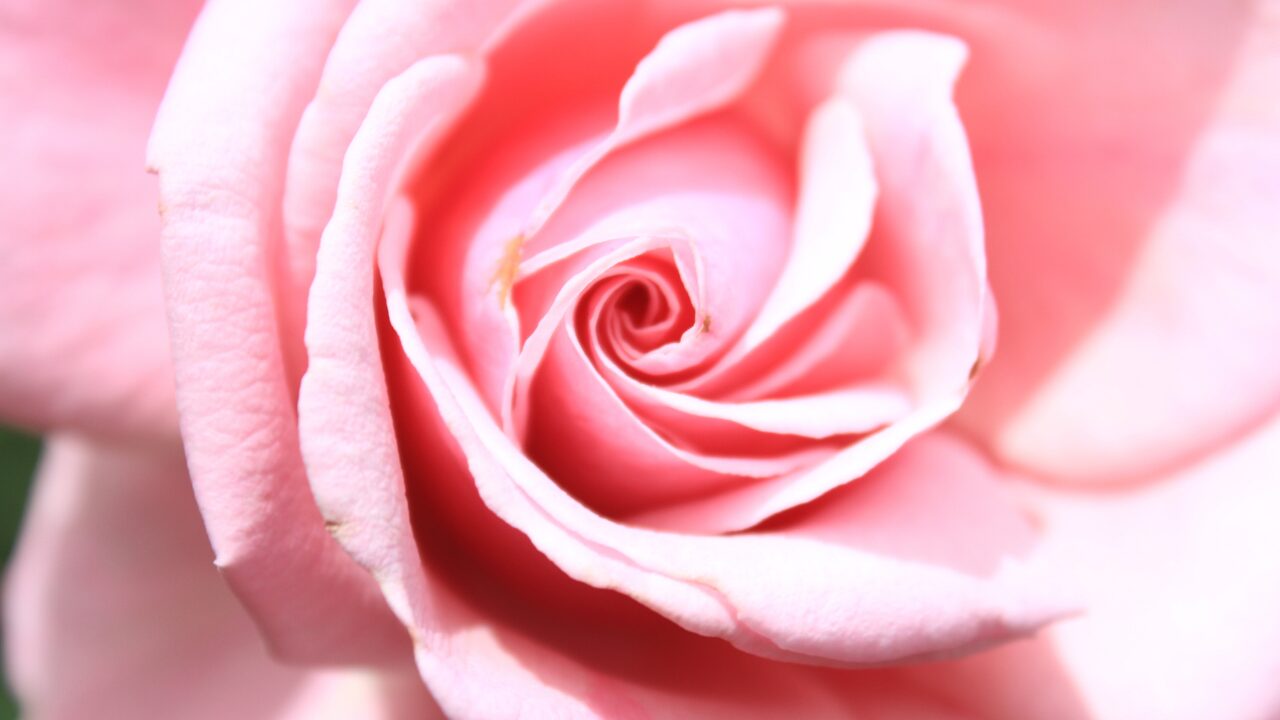 癒しの言葉をもっと深く感じるためのヒント