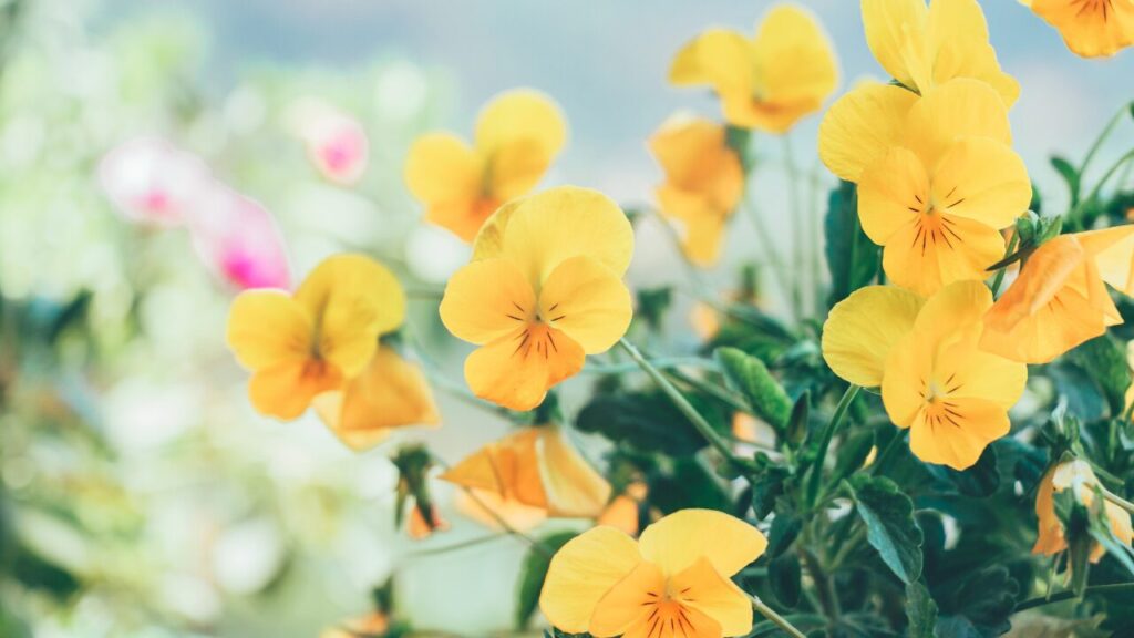 頑張ってるのに認められない…報われない気持ちの乗り越え方｜心が折れそうなあなたへ