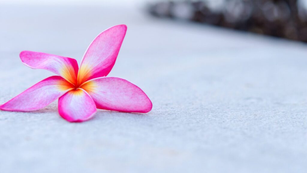 心の休め方｜頑張りすぎる人に効く“心の休息”テクニック7選